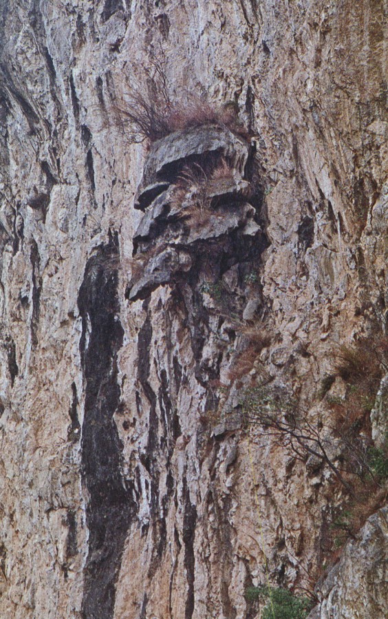 The rock resembles a bull's liver