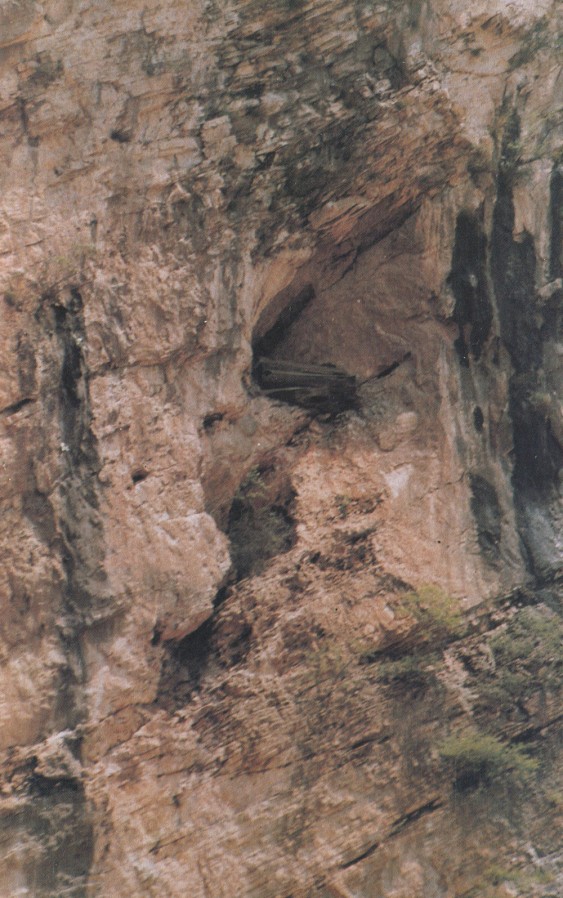 Tactics Books -- actually some suspended coffins in a cave